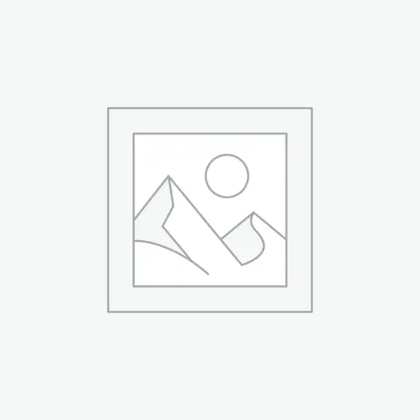 9PC LONG TORX KEY SET CHROMED